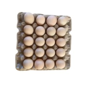 #15-16 Duck Eggs