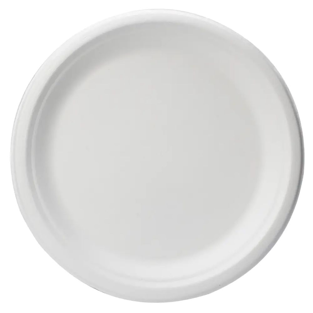 #53 9 inch paper plate