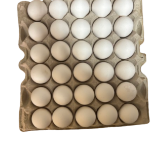 Large Loose White Eggs 30DZ